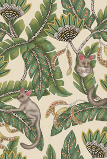 値下げ　輸入壁紙 Cole&Son  1ロール　おまけ付き 楽天市場】輸入壁紙 イギリス製 彫刻 鳥 植物 光沢 クラシック