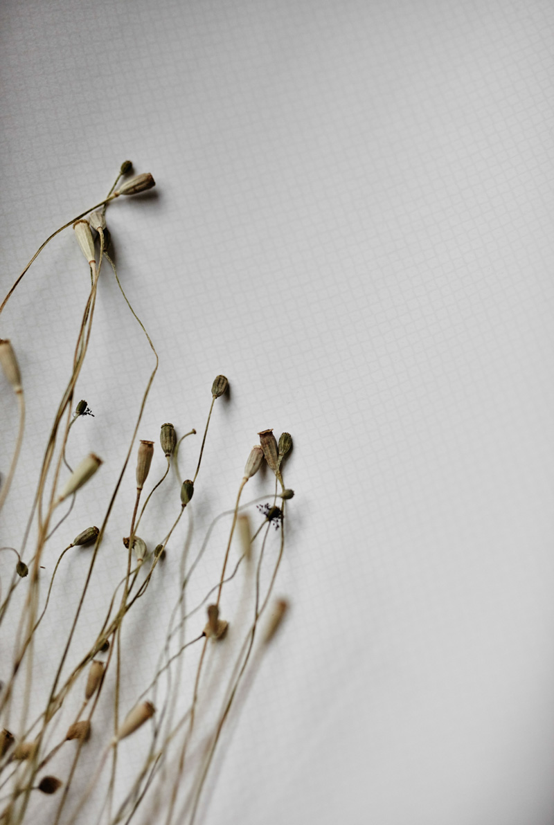 Nippon 236 21 輸入壁紙 クロス のテシード