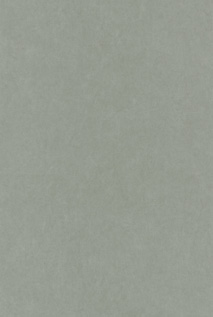 ZAZIE5 OXFD82387117 | 輸入壁紙(クロス)のテシード