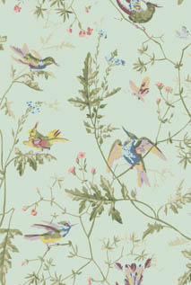 SELECTION OF HUMMINGBIRDS | 輸入壁紙(クロス)のテシード