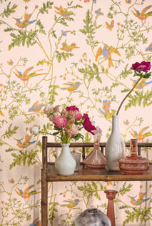 SELECTION OF HUMMINGBIRDS | 輸入壁紙(クロス)のテシード