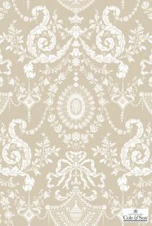 COLE&SON SELECTION 88/10042 88/10042