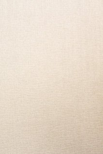 FINETEXTILE W783 | 輸入壁紙(クロス)のテシード