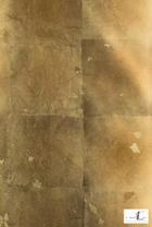 AST51601