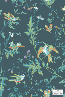 COLE&SON SELECTION 112/4014 112/4014