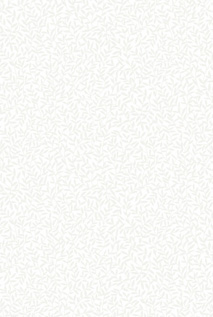 ZAZIE5 OXFD84120233 OXFD84120233