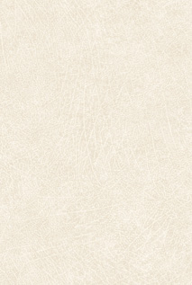 SKIN 300510 300510