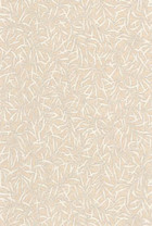 BALI88171154