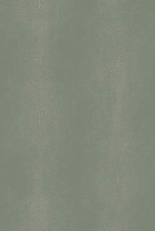 GA79752
