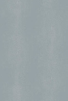 GA79753