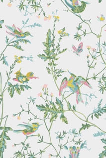 SELECTION OF HUMMINGBIRDS 112/4015 112/4015