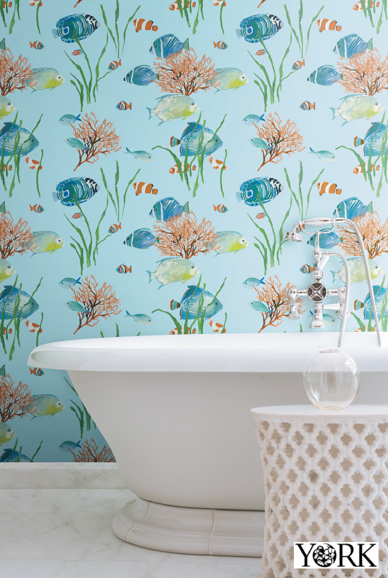 これまでで最高のニモ 壁紙 クロス 最高の花の画像