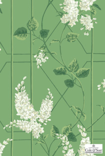 BOTANICAL BOTANICA | 輸入壁紙(クロス)のテシード BOTANICAL BOTANICA | 輸入壁紙(クロス)のテシード